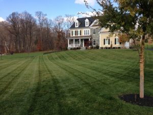 Top Winter Lawn Care Tips