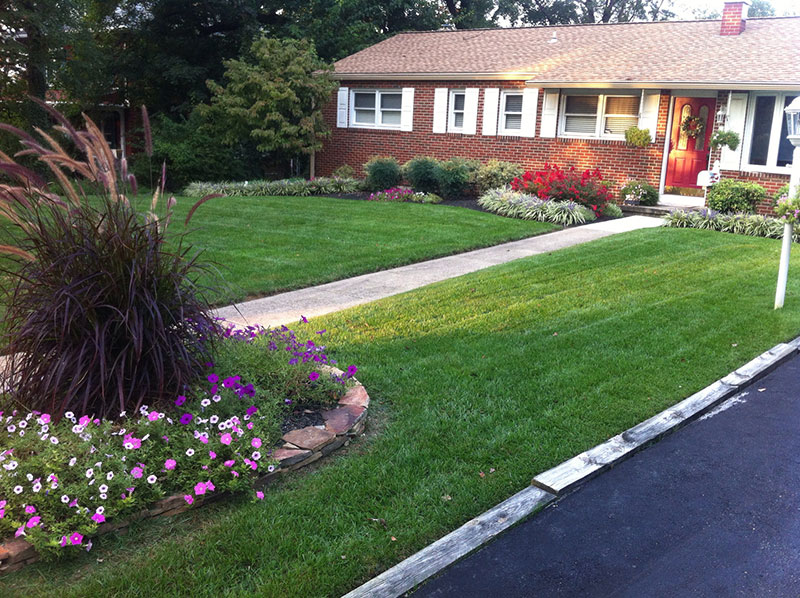 The Benefits of a Lawn Care Program