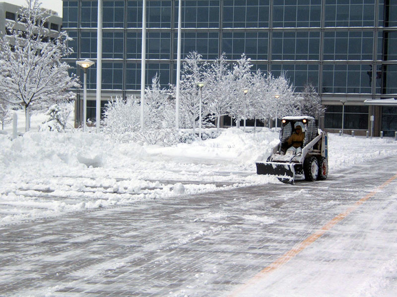 Winter Landscape Care for Property Managers